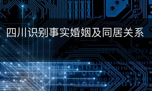 四川识别事实婚姻及同居关系