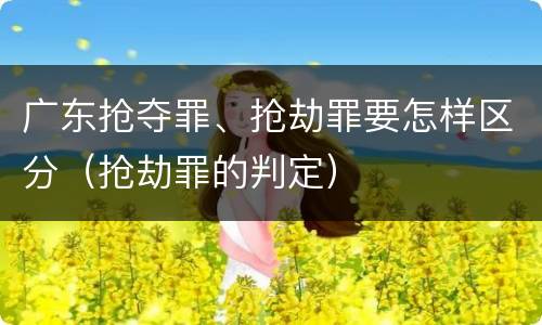 广东抢夺罪、抢劫罪要怎样区分（抢劫罪的判定）