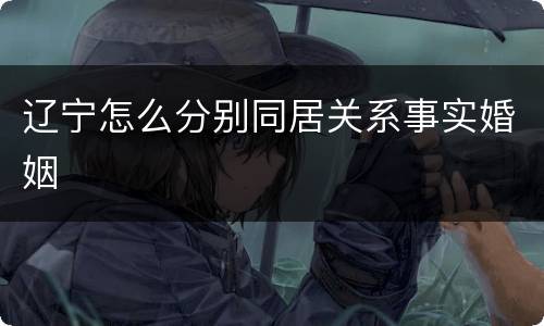 辽宁怎么分别同居关系事实婚姻
