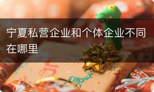 宁夏私营企业和个体企业不同在哪里