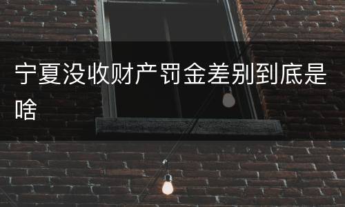 宁夏没收财产罚金差别到底是啥
