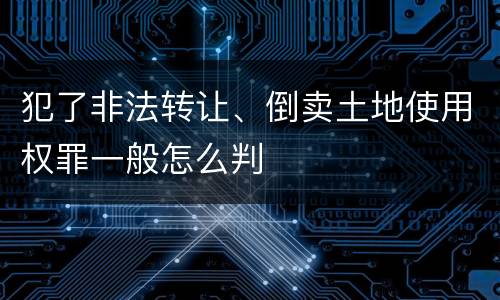 犯了非法转让、倒卖土地使用权罪一般怎么判