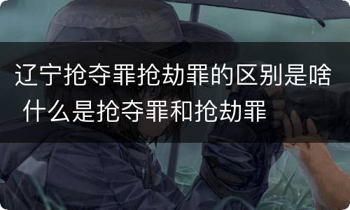 辽宁抢夺罪抢劫罪的区别是啥 什么是抢夺罪和抢劫罪