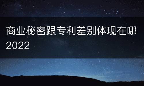 商业秘密跟专利差别体现在哪2022