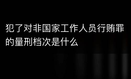 犯了对非国家工作人员行贿罪的量刑档次是什么