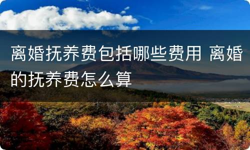 离婚抚养费包括哪些费用 离婚的抚养费怎么算