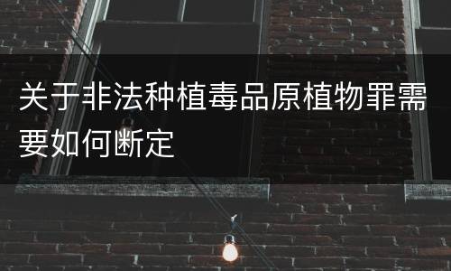 关于非法种植毒品原植物罪需要如何断定