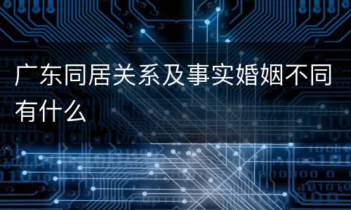 广东同居关系及事实婚姻不同有什么