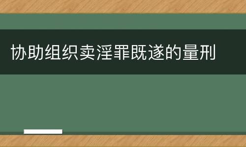 协助组织卖淫罪既遂的量刑