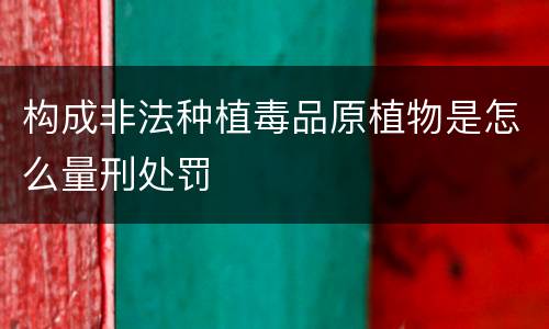 构成非法种植毒品原植物是怎么量刑处罚