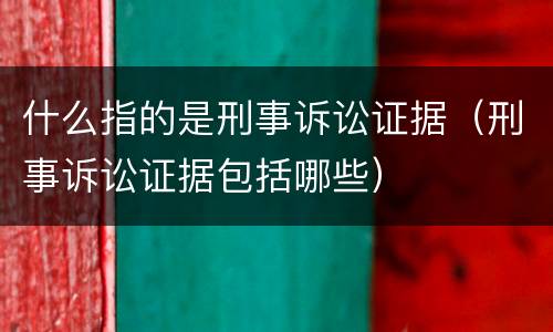什么指的是刑事诉讼证据（刑事诉讼证据包括哪些）