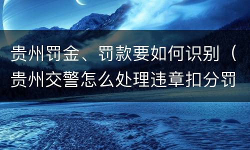 贵州罚金、罚款要如何识别（贵州交警怎么处理违章扣分罚款）