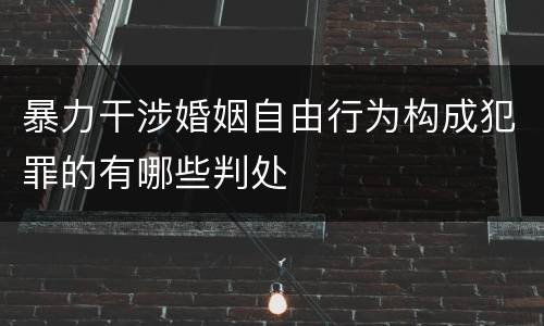 暴力干涉婚姻自由行为构成犯罪的有哪些判处