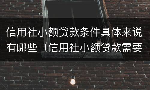 信用社小额贷款条件具体来说有哪些（信用社小额贷款需要什么条件）