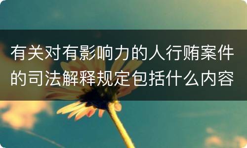有关对有影响力的人行贿案件的司法解释规定包括什么内容