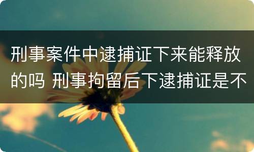 刑事案件中逮捕证下来能释放的吗 刑事拘留后下逮捕证是不是肯定会判刑