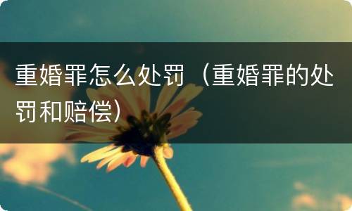 重婚罪怎么处罚（重婚罪的处罚和赔偿）