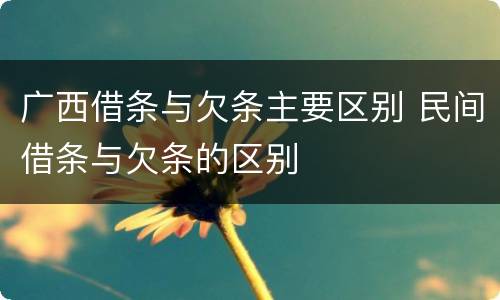 广西借条与欠条主要区别 民间借条与欠条的区别
