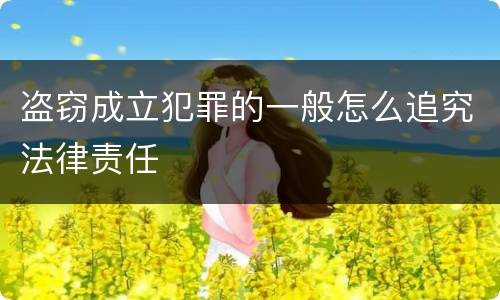 盗窃成立犯罪的一般怎么追究法律责任