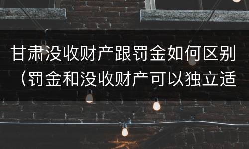 甘肃没收财产跟罚金如何区别（罚金和没收财产可以独立适用吗）