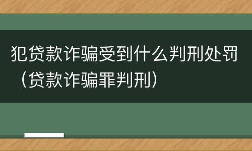 犯贷款诈骗受到什么判刑处罚（贷款诈骗罪判刑）