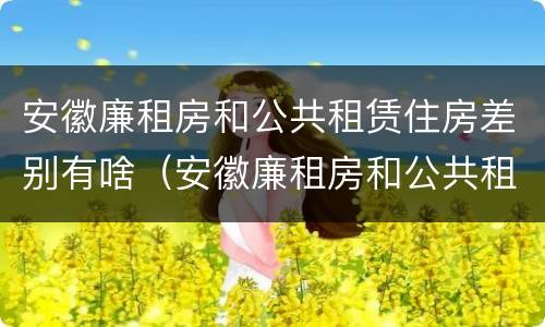 安徽廉租房和公共租赁住房差别有啥（安徽廉租房和公共租赁住房差别有啥不一样）