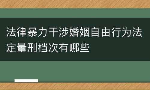 法律暴力干涉婚姻自由行为法定量刑档次有哪些