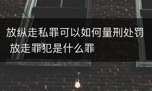 放纵走私罪可以如何量刑处罚 放走罪犯是什么罪
