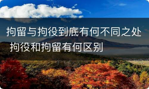 拘留与拘役到底有何不同之处 拘役和拘留有何区别