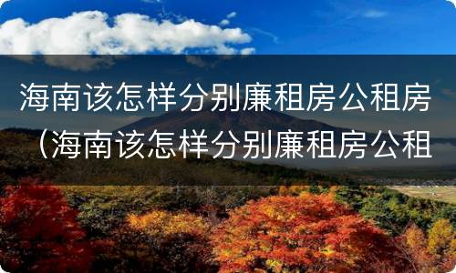 海南该怎样分别廉租房公租房（海南该怎样分别廉租房公租房和私租房）