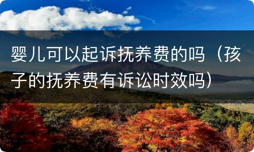 婴儿可以起诉抚养费的吗（孩子的抚养费有诉讼时效吗）