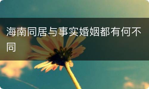 海南同居与事实婚姻都有何不同