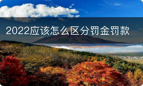 2022应该怎么区分罚金罚款