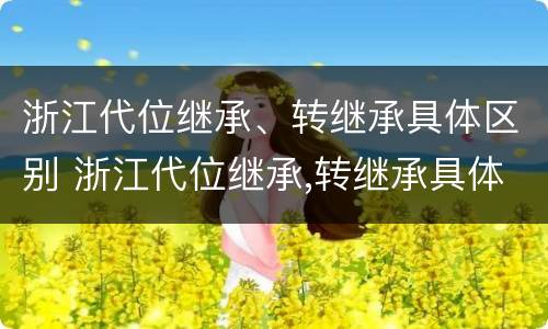 浙江代位继承、转继承具体区别 浙江代位继承,转继承具体区别