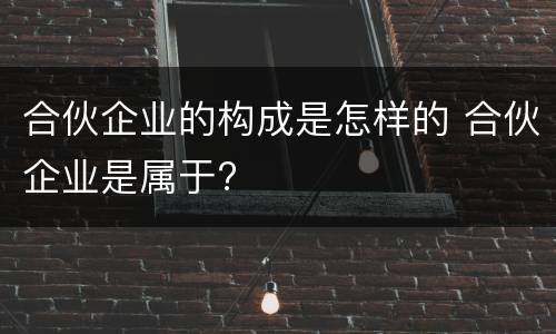 合伙企业的构成是怎样的 合伙企业是属于?