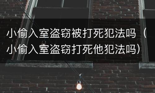 小偷入室盗窃被打死犯法吗（小偷入室盗窃打死他犯法吗）