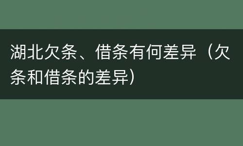 湖北欠条、借条有何差异（欠条和借条的差异）