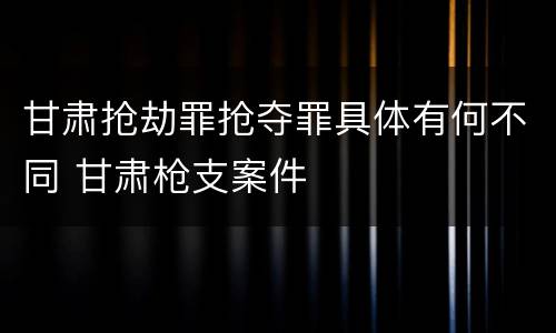 甘肃抢劫罪抢夺罪具体有何不同 甘肃枪支案件