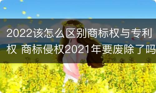2022该怎么区别商标权与专利权 商标侵权2021年要废除了吗