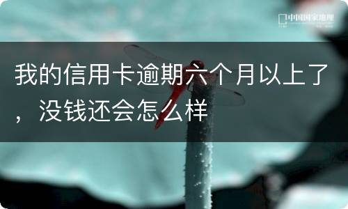 我的信用卡逾期六个月以上了，没钱还会怎么样