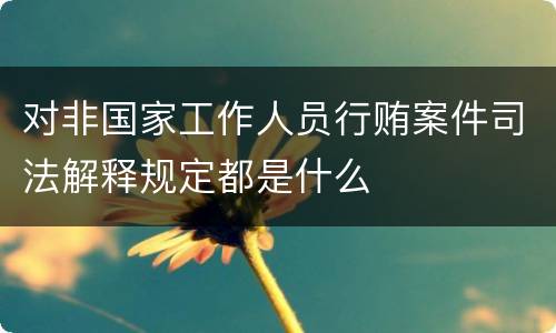对非国家工作人员行贿案件司法解释规定都是什么