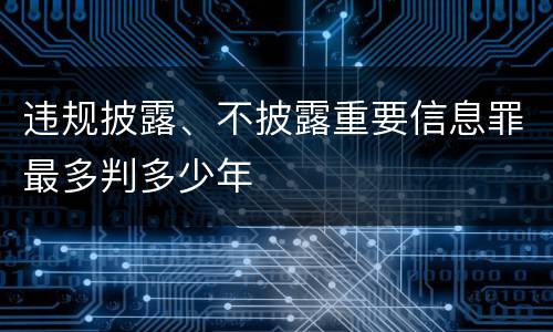违规披露、不披露重要信息罪最多判多少年