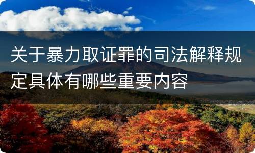 关于暴力取证罪的司法解释规定具体有哪些重要内容