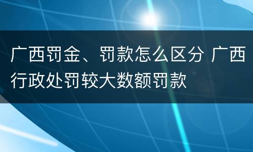 广西罚金、罚款怎么区分 广西行政处罚较大数额罚款