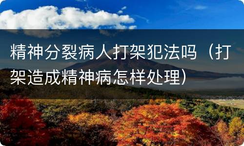 精神分裂病人打架犯法吗（打架造成精神病怎样处理）