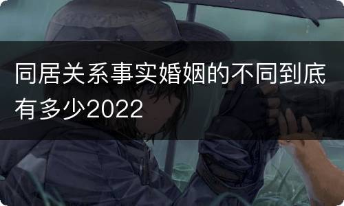 同居关系事实婚姻的不同到底有多少2022