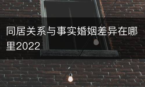 同居关系与事实婚姻差异在哪里2022