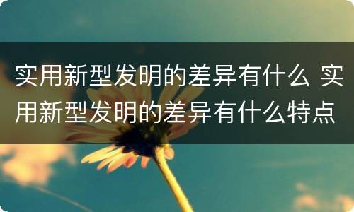 实用新型发明的差异有什么 实用新型发明的差异有什么特点