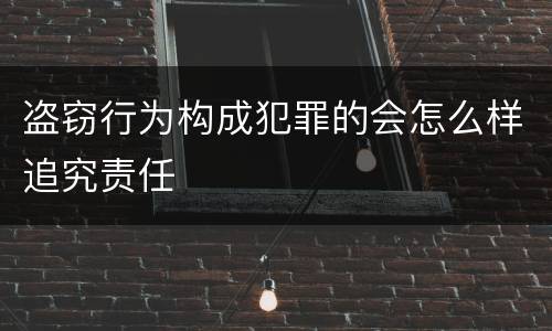 盗窃行为构成犯罪的会怎么样追究责任