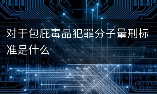 对于包庇毒品犯罪分子量刑标准是什么
